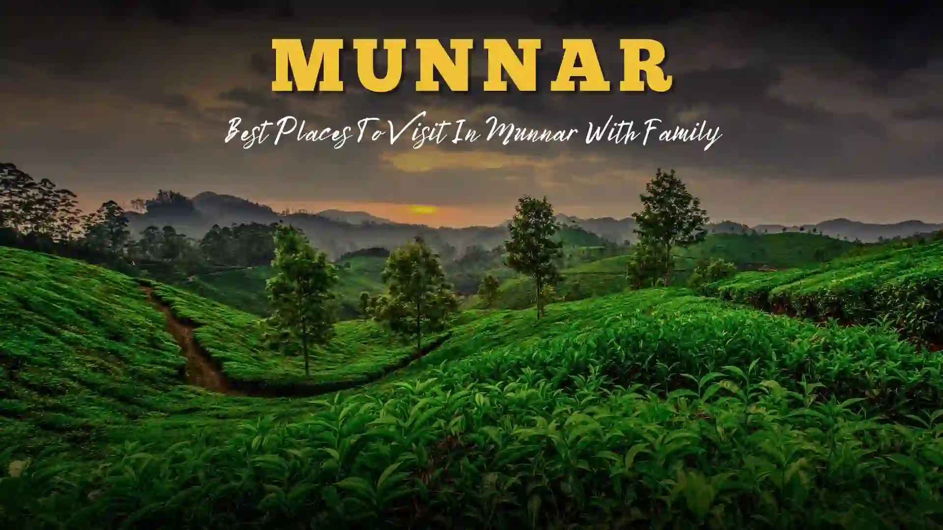 Best places to visit in Munnar with family