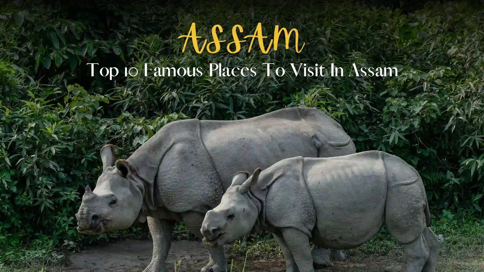 Top 10 famous places to visit in Assam