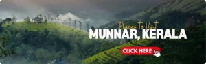 Best Places to visit in munnar, Kerala