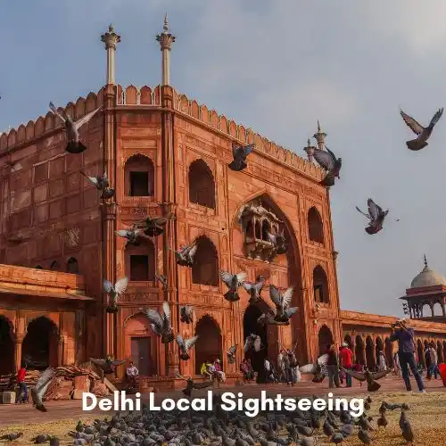 Delhi Local Sightseeing Tour package - Delhi Tour