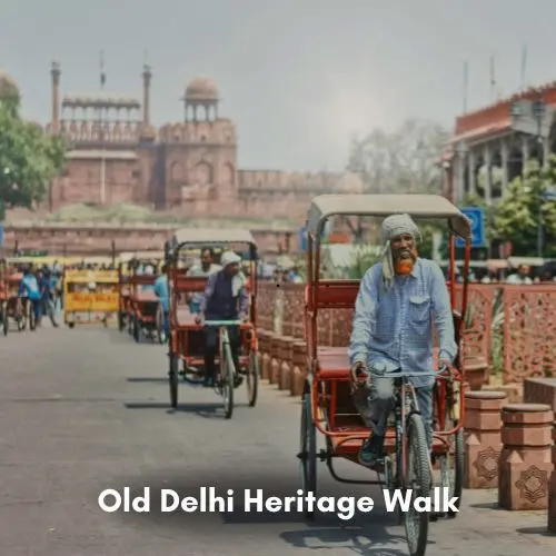 Old Delhi Heritage Walk - Delhi Tour