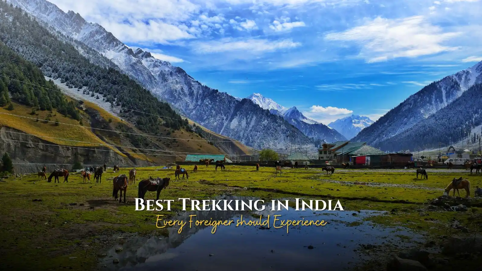 Trekking in India for Foreigners | Best Treks & Adventure Experiences