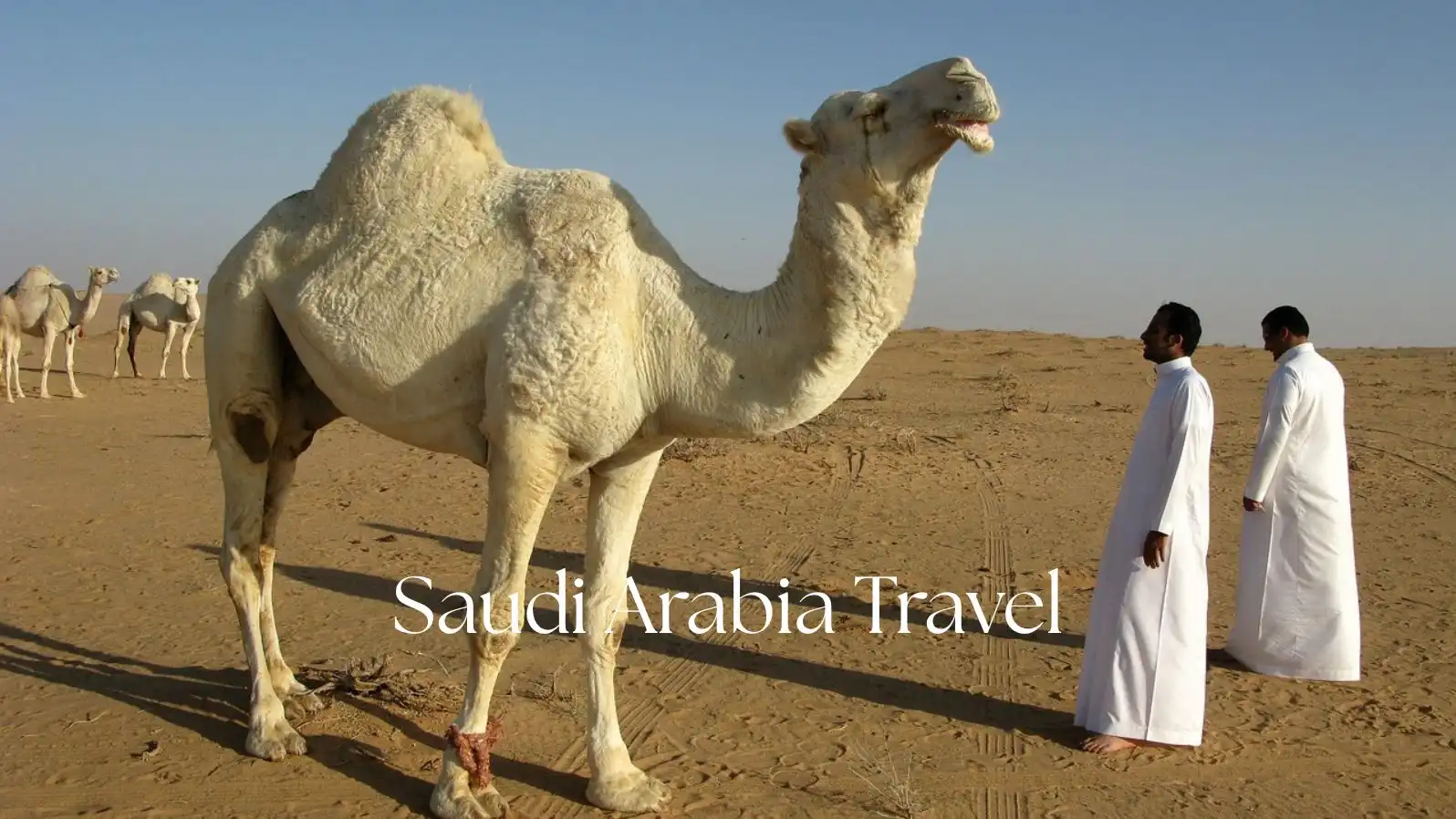 Saudi Arabia Travel Guide 2025: Tourism, Top Attractions, Trip Planning & Vacation Ideas