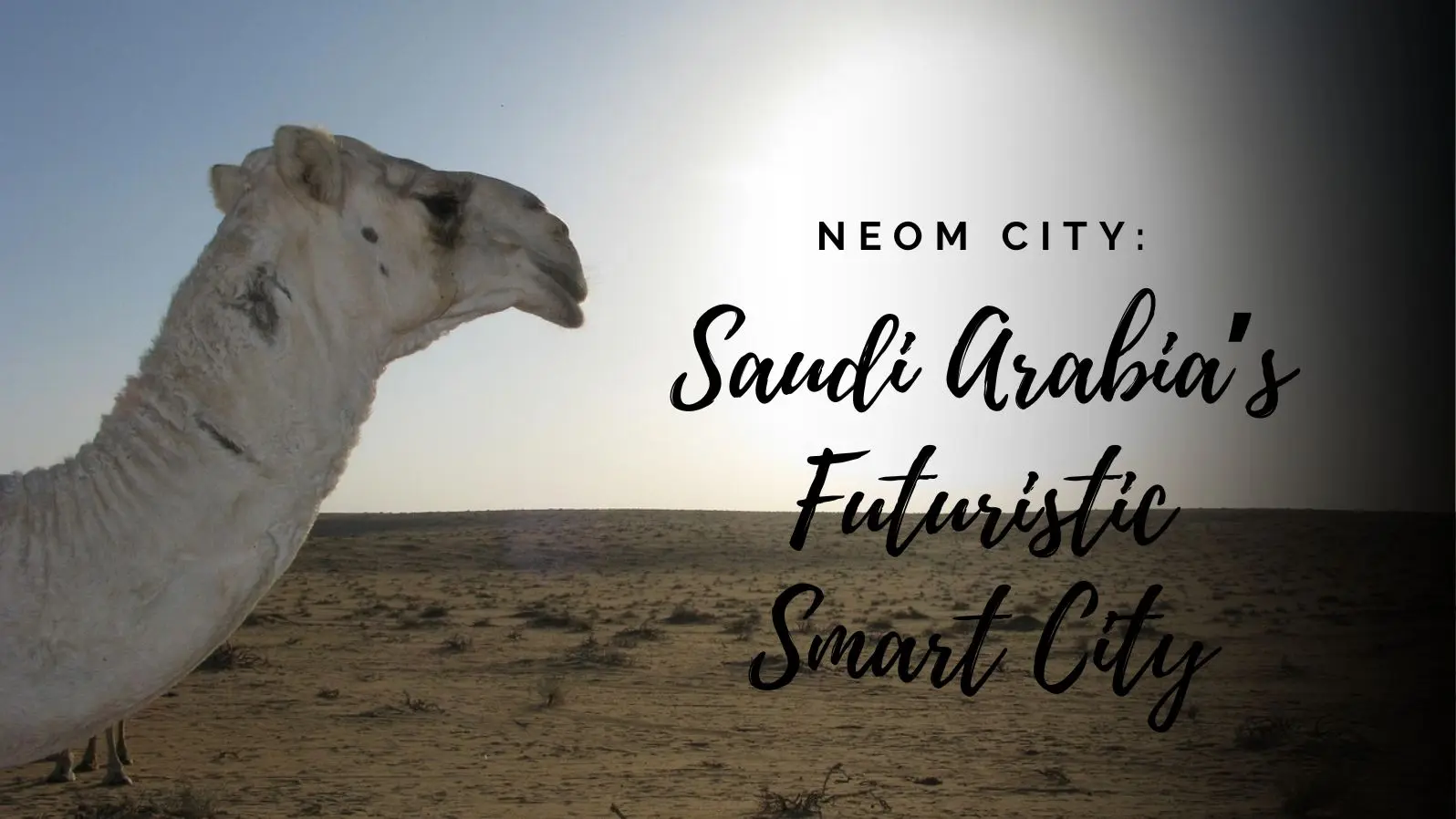 neom city